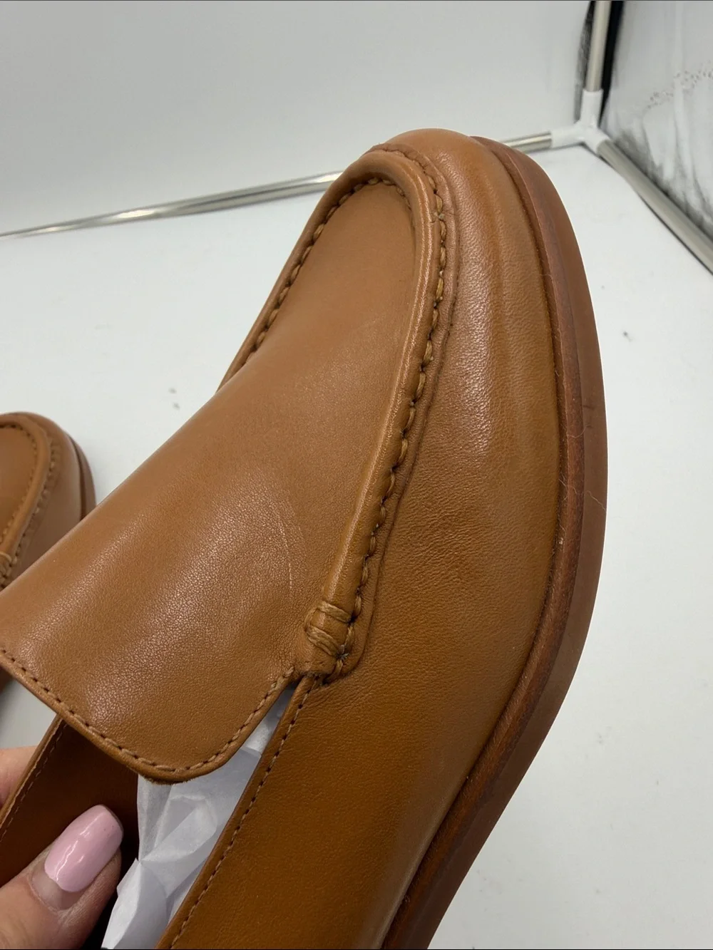 Everlane new camel